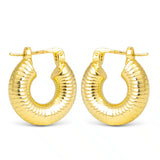 **Alyson Polished Ribbed Hoop Gold Earrings - 50573
