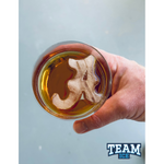 Alabama Team Ice Mold
