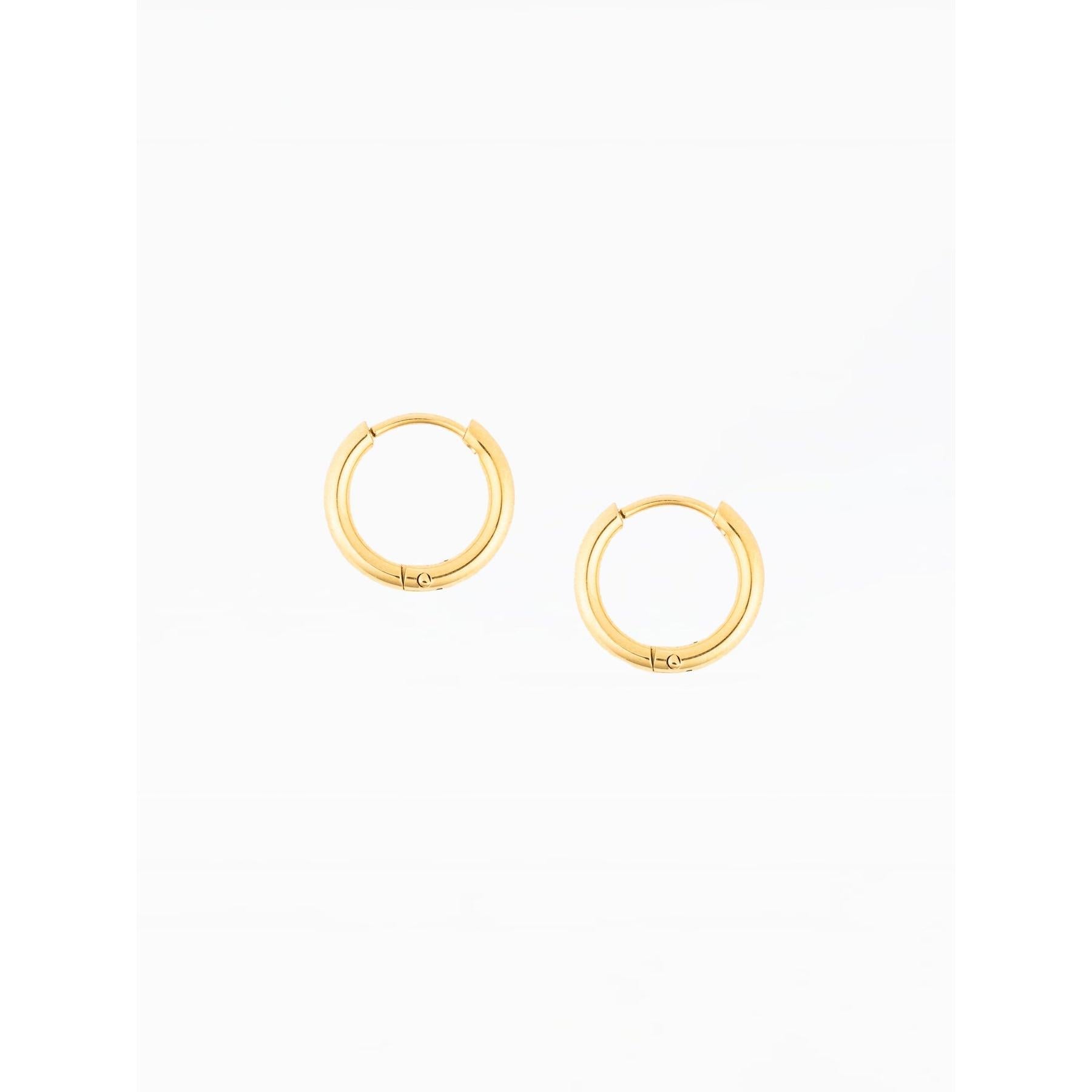 Amelia Earrings - Small