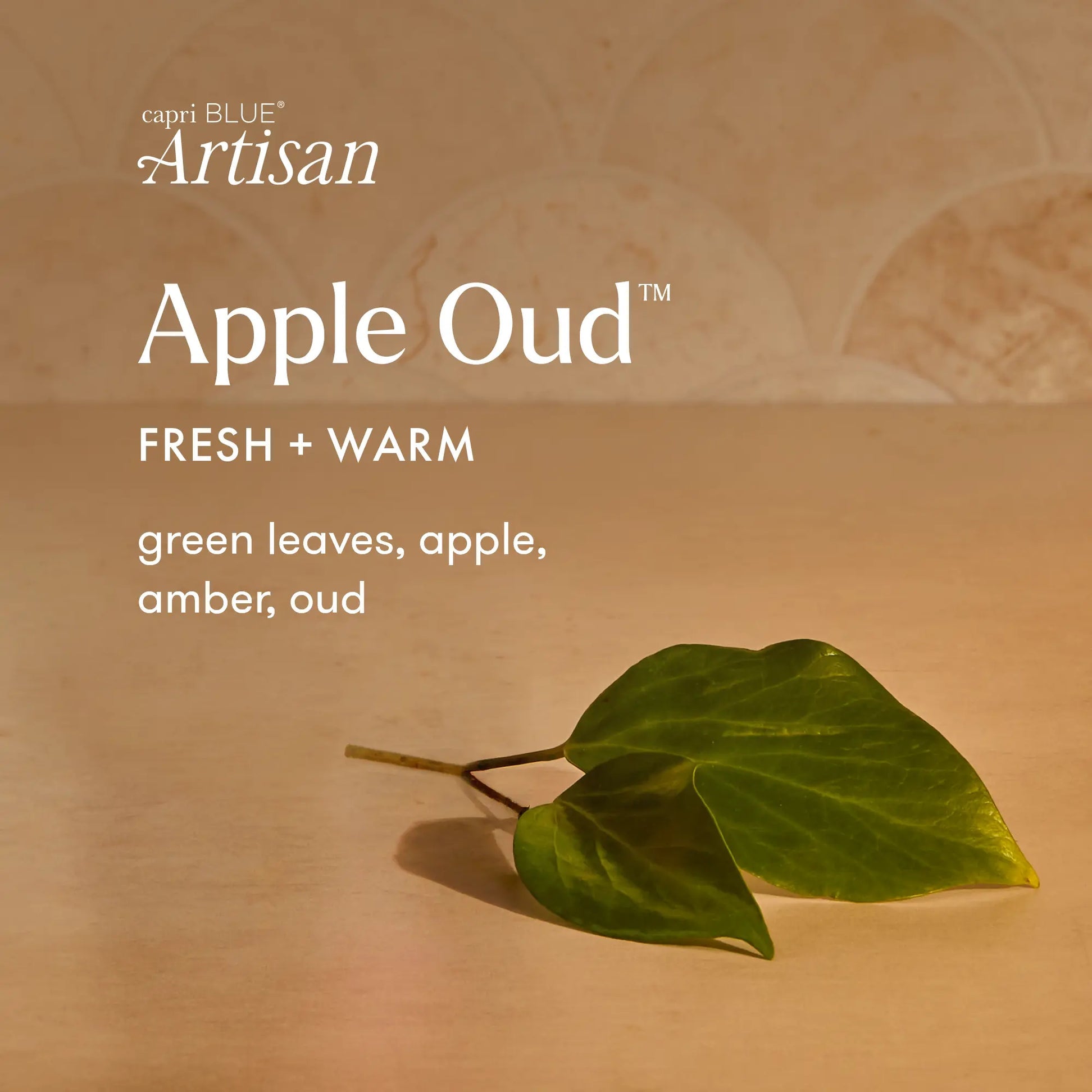Apple Oud Tuscan Radiance Candle - 8 oz.