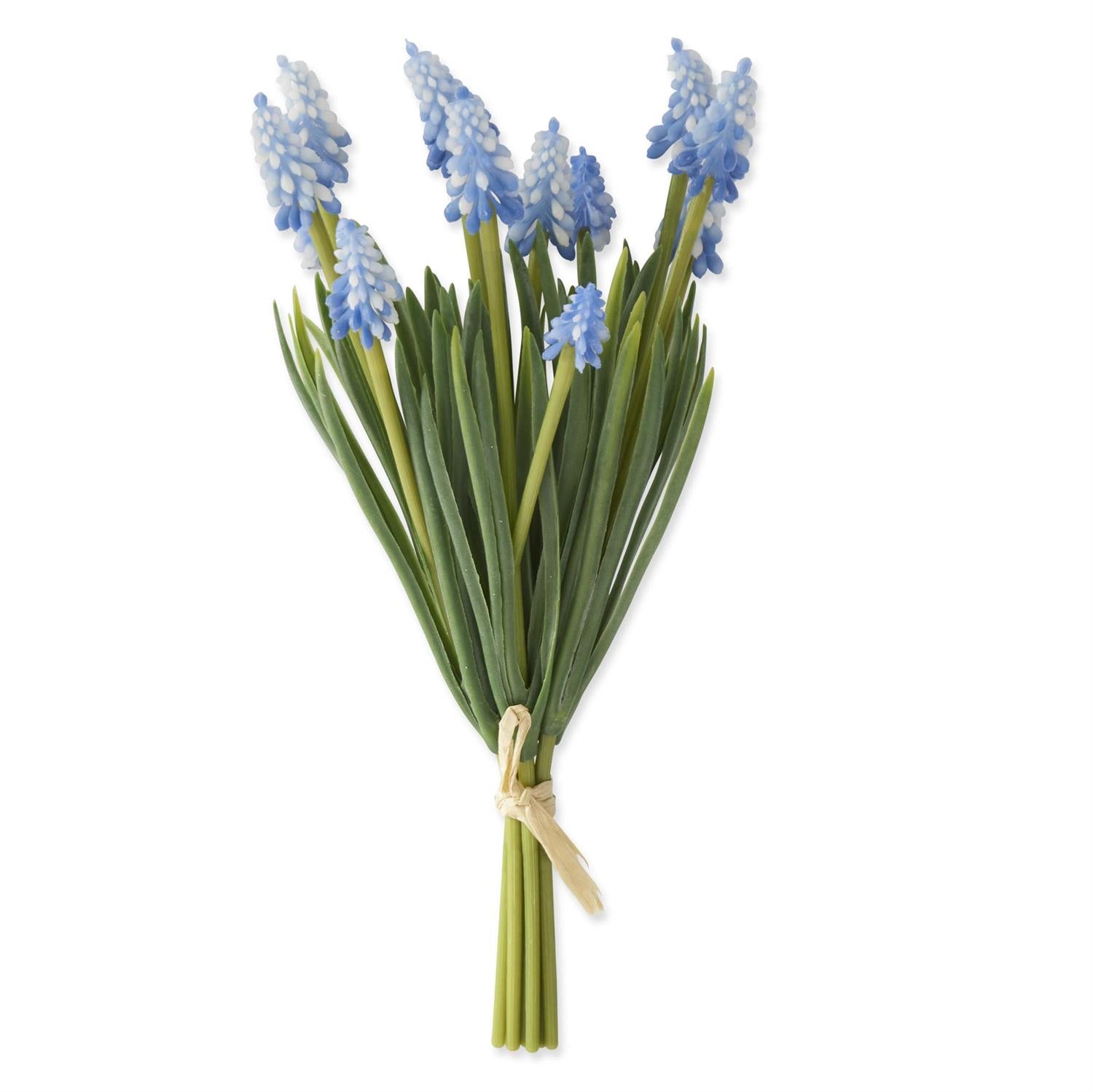 Blue Grape Hyacinth Bundle 10.5"