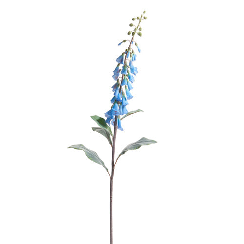 Bluebell Stem