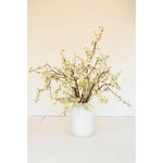 Botanica 2850