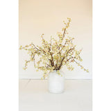 Botanica 2850