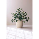 Botanica 3508