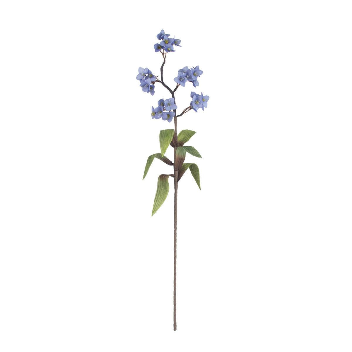 Botanica 3603
