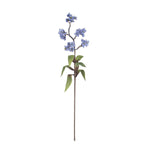 Botanica 3603