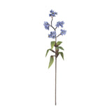 Botanica 3603