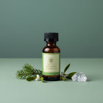 Bourbon Royalty Mistletoe Fragrance Oil - 1oz