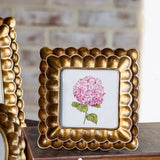 Bronze Scallop Frame - 4x4