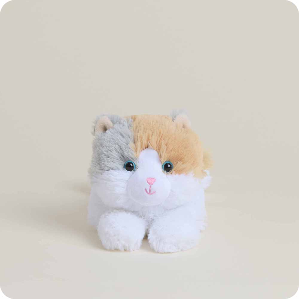Calico Cat Junior