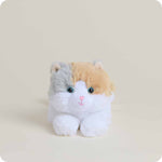 Calico Cat Junior