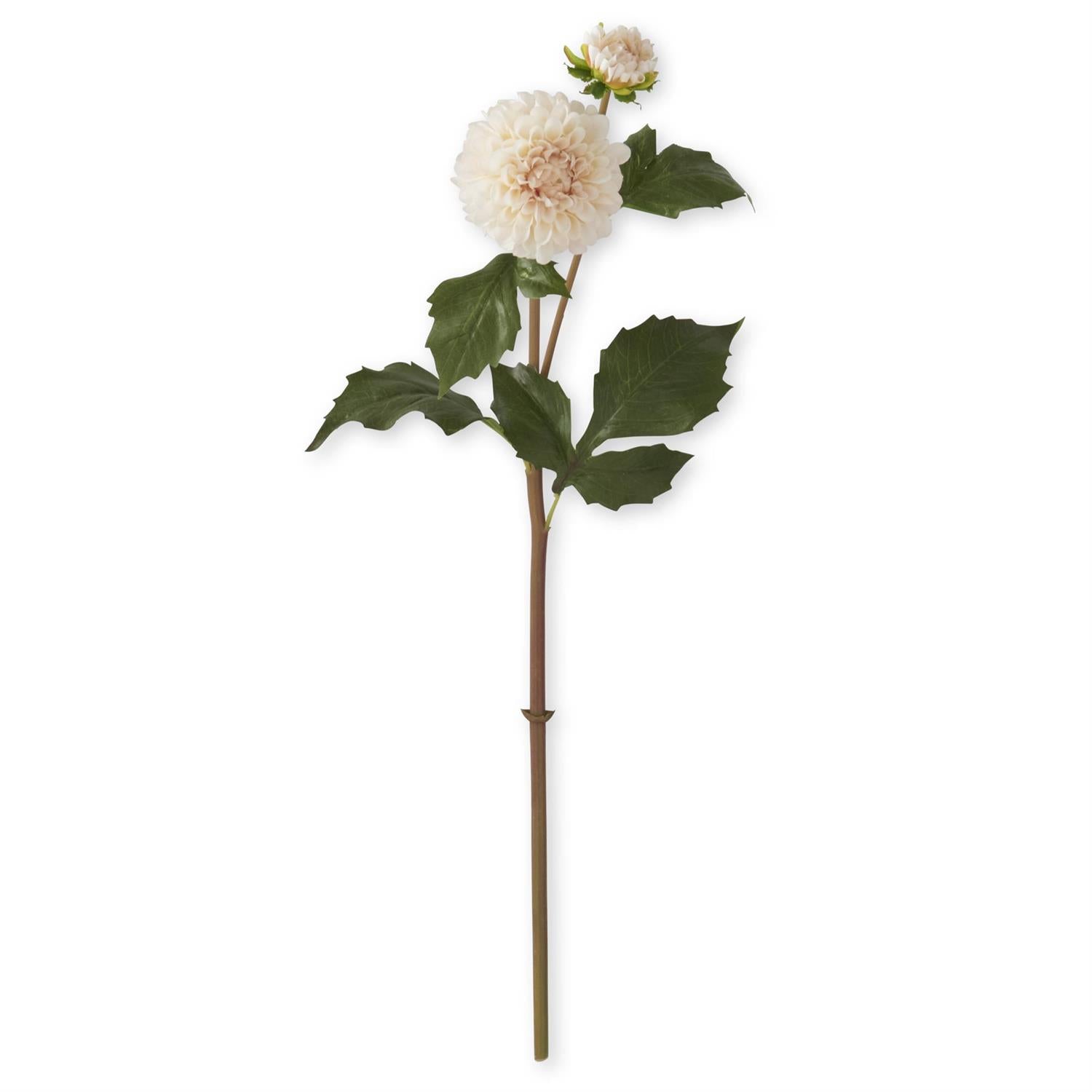 Cream Real Touch Dahlia Bud & Bloom Stem 20"