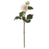 Cream Real Touch Dahlia Bud & Bloom Stem 20"