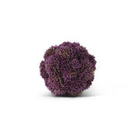 Dark Purple Sedum Ball 4"