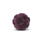 Dark Purple Sedum Ball 4"