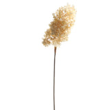 Dried Hydrangea Spray