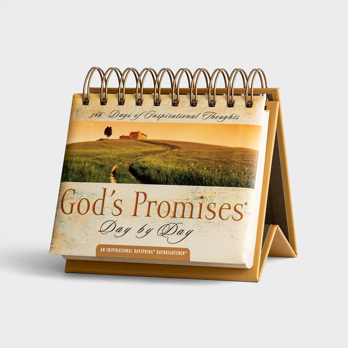 God's Promises Day By Day Daybrightener