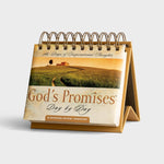 God's Promises Day By Day Daybrightener