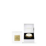 Gold Car Diffuser with 1 Replacement Scent Disk