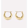 Gold Hoop Earrings - Abby