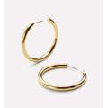 Gold Hoop Earrings - Tia Medium Gold