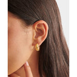 Harper Twist Hoop Earrings | Gold Coated