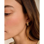 Heart Link Earrings | Gold Coated