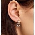 Huggie Earrings - Asher Drop