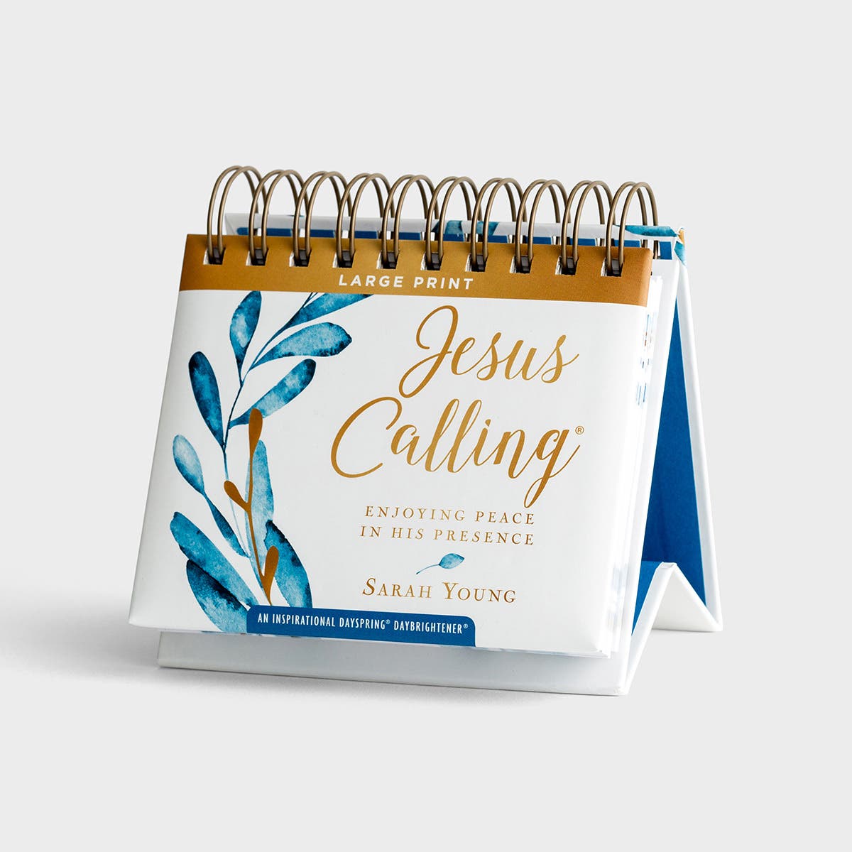 Jesus Calling: Enjoying Peace in His Presence Daybrightener