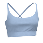 LG Sports Bra - Periwinkle