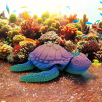 Large Seagrass Sea Turtle