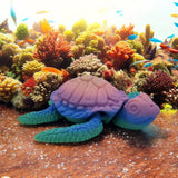 Large Seagrass Sea Turtle