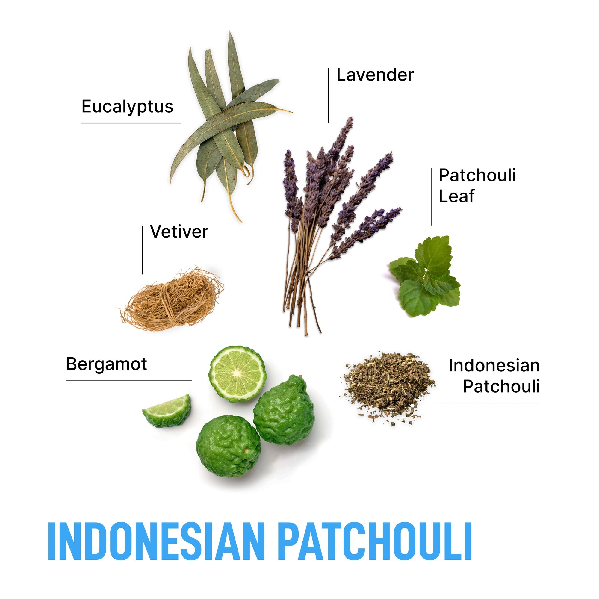Laundry Scent Booster -Indonesian Patchouli