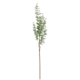 Light Green Gunni Eucalyptus Stem 38"