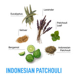 Liquid Laundry Detergent Pods - Indonesian Patchouli