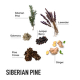 Liquid Laundry Detergent Pods - Siberian Pine