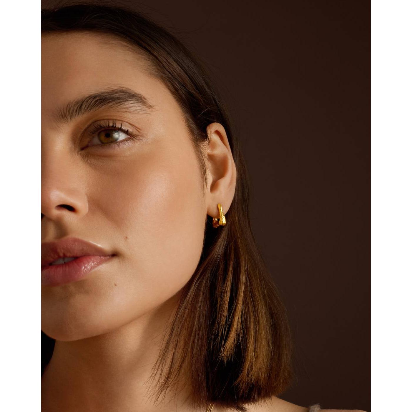 Luxe Lock Hoop Earrings | Gold Coated