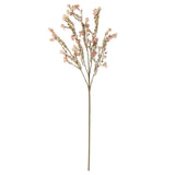 Pink Chamelaucium Spray 35"