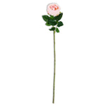 Pink Real Touch Austin Rose Stem 24"