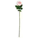 Pink Real Touch Austin Rose Stem 24"