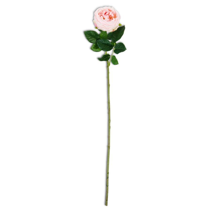 Pink Real Touch Austin Rose Stem 24"