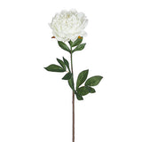 Real Touch White Peony Stem