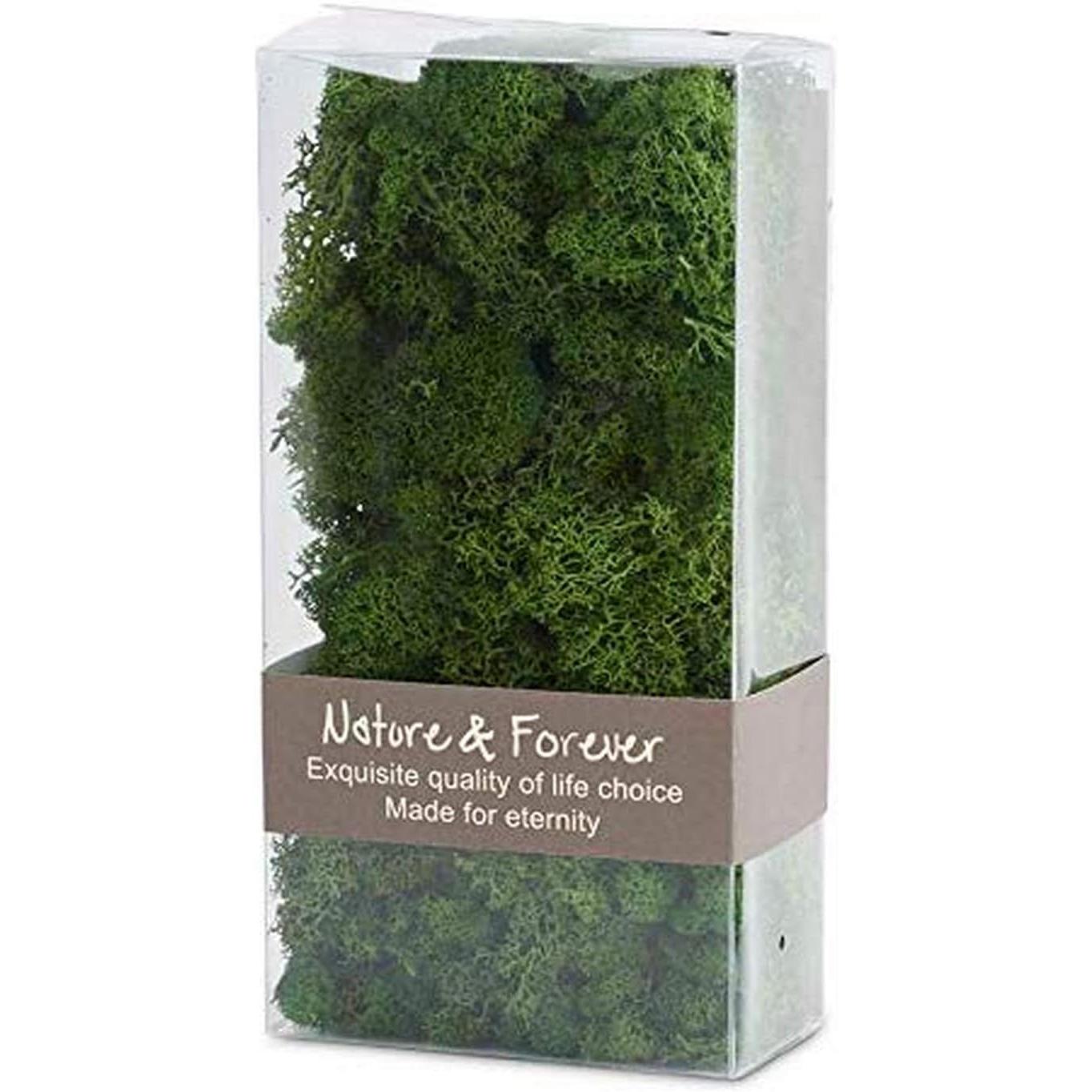 Reindeer Moss Box