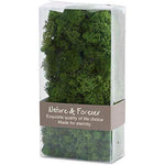 Reindeer Moss Box