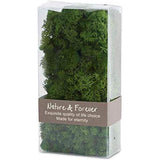 Reindeer Moss Box