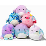 Sealife Squishmallow 8"