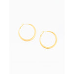 Simply Golden Earrings