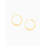 Simply Golden Earrings