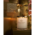 Spinning Carousel Accessory